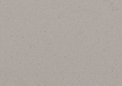 Raw Concrete™ 4004