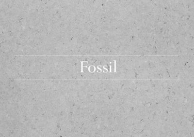 Fossil