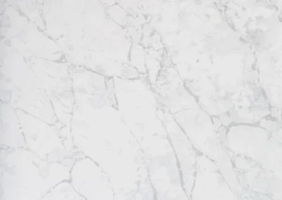 Elysian White