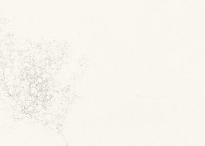 Empira White 5151