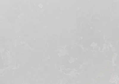 Onyx White 9100