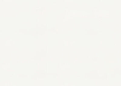 Pure White 1141