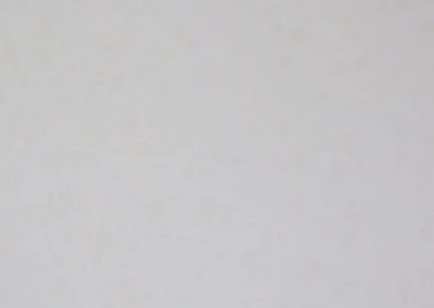 Serene White 8060