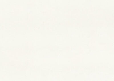 Snow 2141